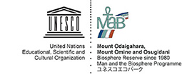 UNESCO logo